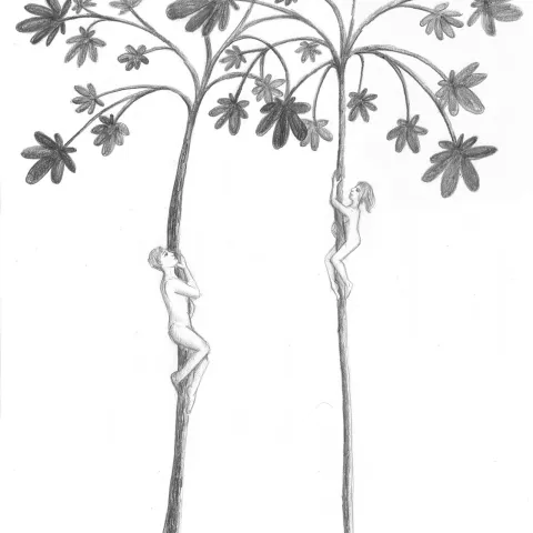 Aufwärts