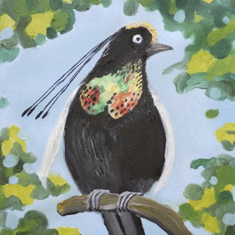 Paradiesvogel 2