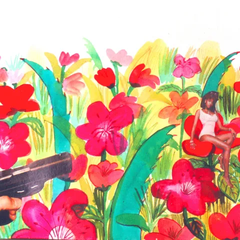 Afrikas Blumen