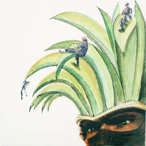 Haare klettern - male
