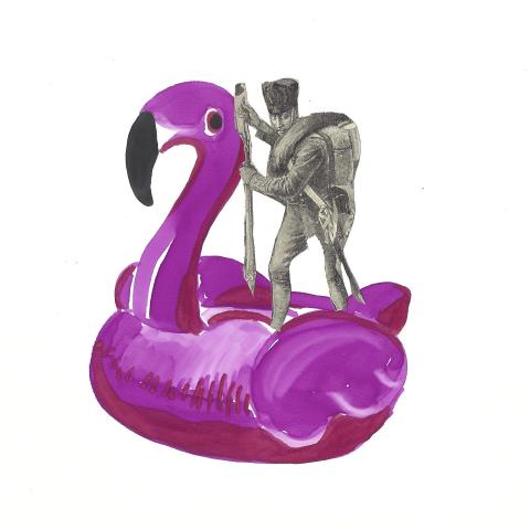 Flamingo-böse