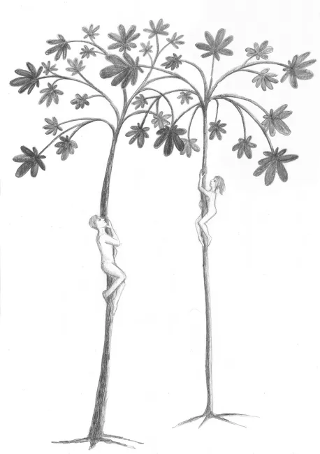 Aufwärts